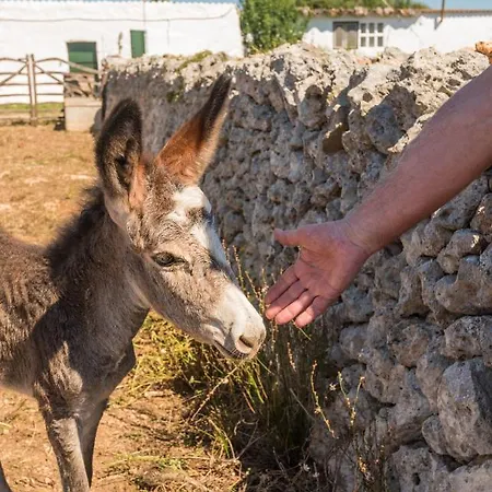 Сasa de vacaciones Casita D'en Carretero- Biniarroca Es Castell (Menorca)